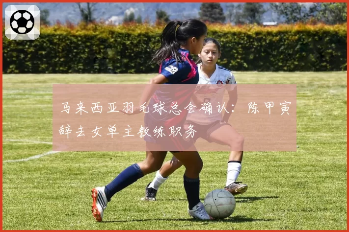 马来西亚羽毛球总会确认:陈甲寅辞去女单主教练职务