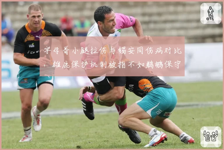 字母哥小腿拉伤与锡安同伤病对比，雄鹿保护机制被指不如鹈鹕保守