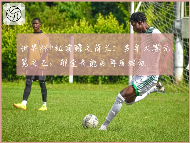 世界杯F组前瞻之荷兰：多年大赛无冕之王，郁金香能否再度绽放
