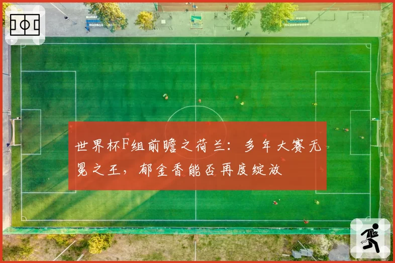 世界杯F组前瞻之荷兰：多年大赛无冕之王，郁金香能否再度绽放